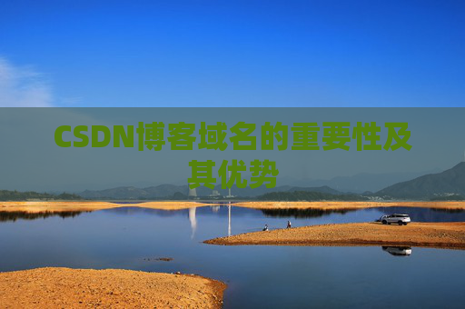CSDN博客域名的重要性及其优势